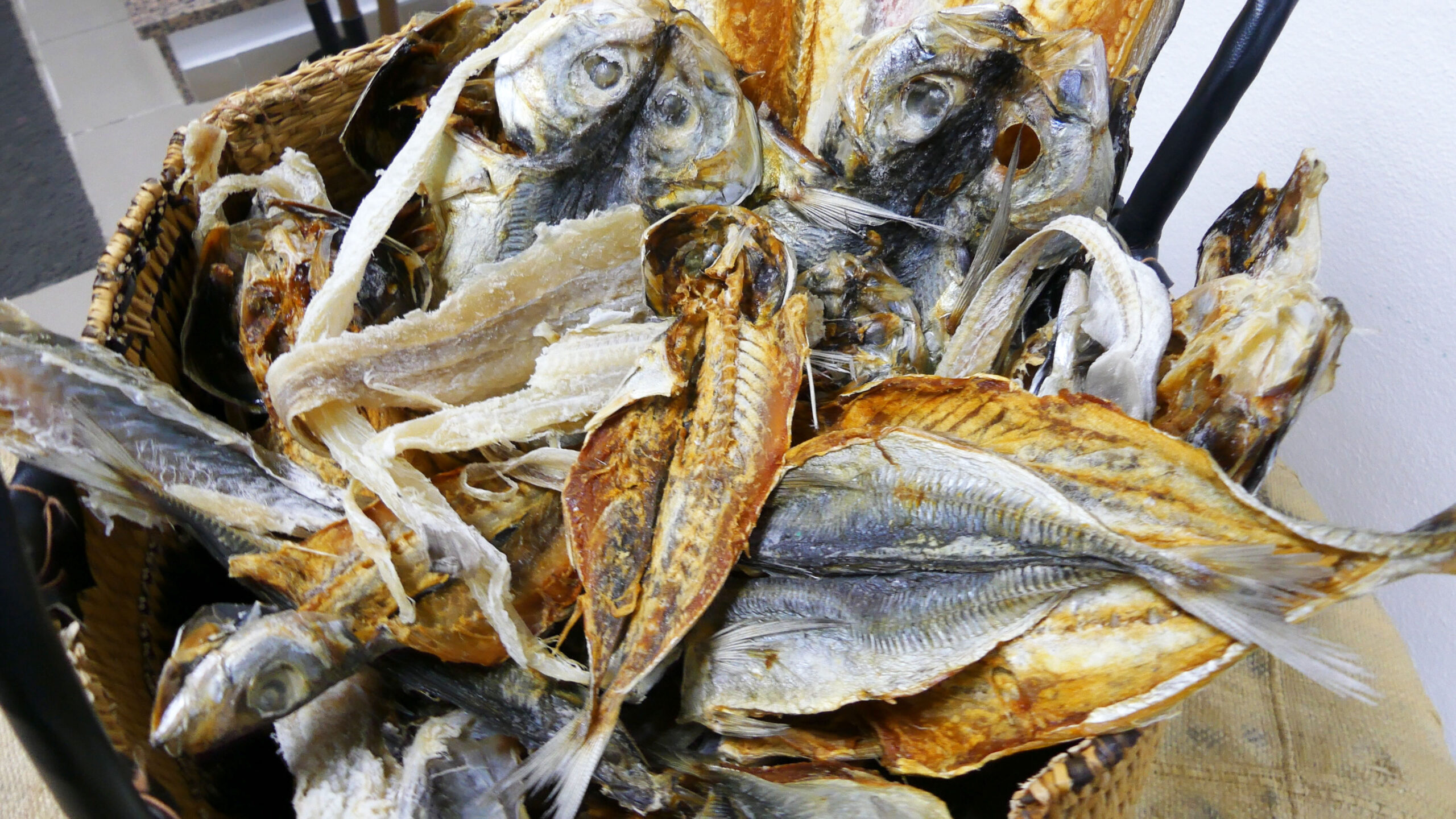 Capa_Peixe_Seco