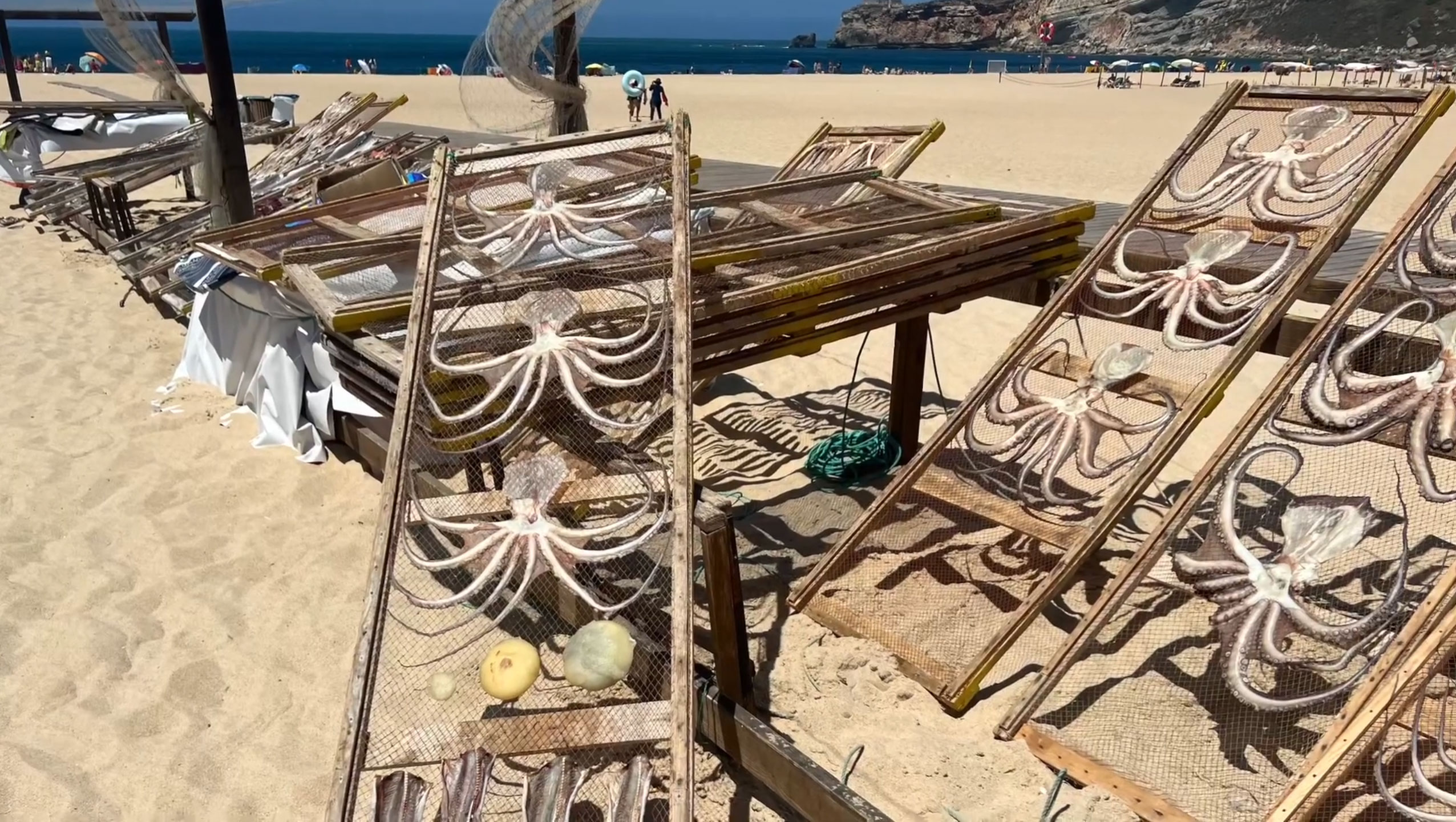 Peixe Seco em Nazaré