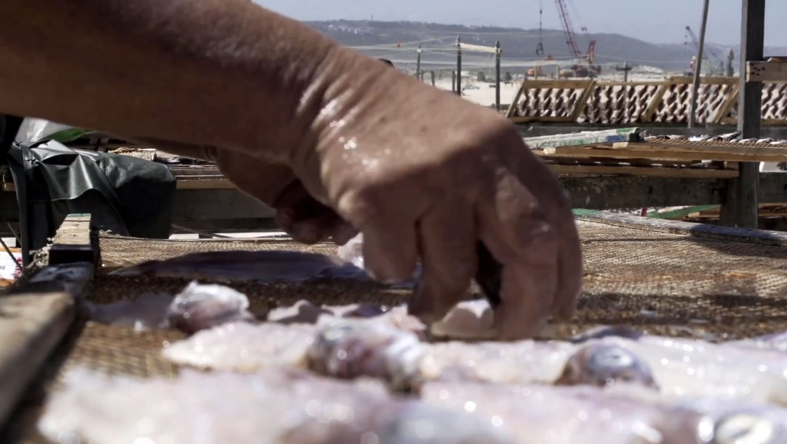 Um vídeo Fantástico do Programa Operacional do Mar 2020